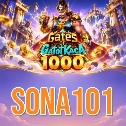 sona101 Features