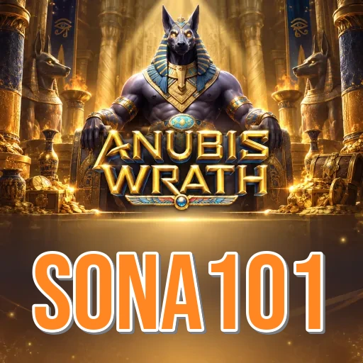 sona101 Install Successful