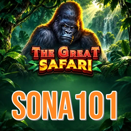 Video Install Tutorial - sona101